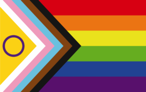 Image of the Global Inclusive Pride Flag to illustrate page