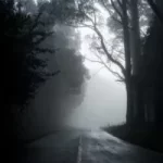 Image of dark and foggy road with with single broken line and trees lining the road, to illustrate post