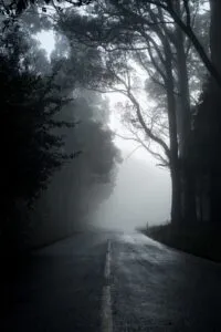 Image of dark and foggy road with with single broken line and trees lining the road, to illustrate post