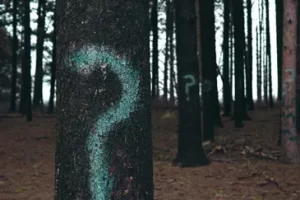 An image of question marks painted on trees to illustrate post