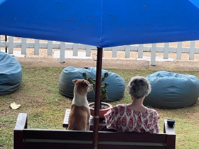 Image of woman and dog sitting on a bench, with their backs to the viewer, under a parasol in front of bean bags, and a white picket fence in the background, used to illustrate post
