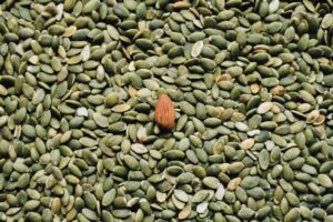 Image of several seeds, with one growing in the middle, used to illustrate post